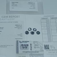 Spinelli Birmani Non Trattati Ct. 5.35 Certificati