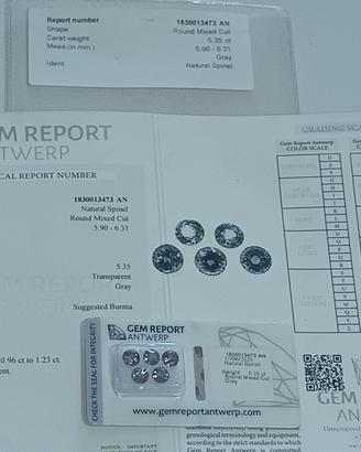 Spinelli Birmani Non Trattati Ct. 5.35 Certificati