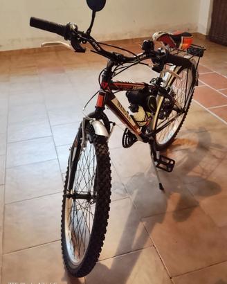 Bici ragazzo Garlatti Wander vrt 24