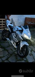 Honda cbr 600 rr