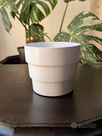 Vaso Design 
