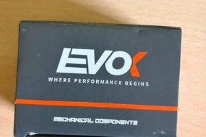 Cluster evok