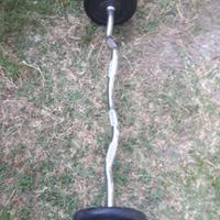 Bilanciere 28mm angolato cromato 120 con dischi