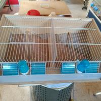 trasportino per canarini 