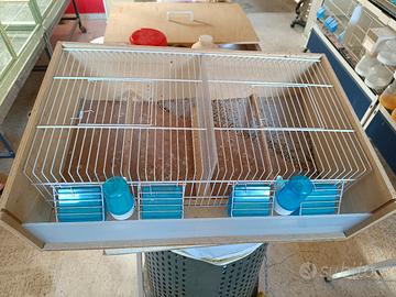 trasportino per canarini 