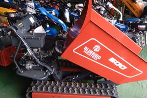 Cariola dumper Blue Bird