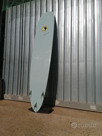 Longboard Town and Country 9.1