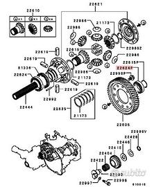 Bearing cuscinetto differenziale Evo MD710663
