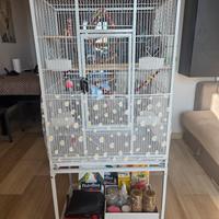 Gabbia pappagalli/uccelli 