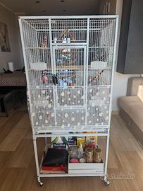 Gabbia pappagalli/uccelli 