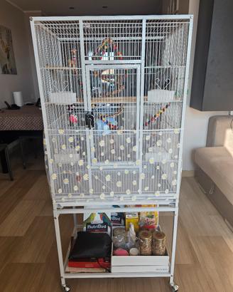 Gabbia pappagalli/uccelli + accessori + cocorita 