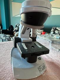 Microscopio