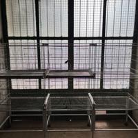 Batteria gabbie, Gabbie, trasportino