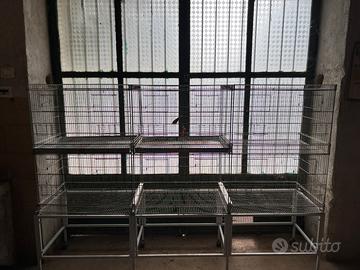 Batteria gabbie, Gabbie, trasportino