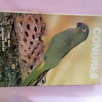 Conures