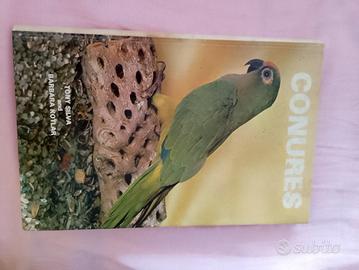 Conures