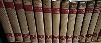 Enciclopedia Selenia