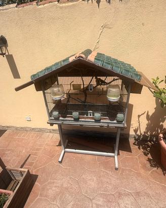 Voliera con 5 inseparabili