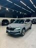 skoda-karoq-2-0-tdi-evo-scr-115-cv-ambition