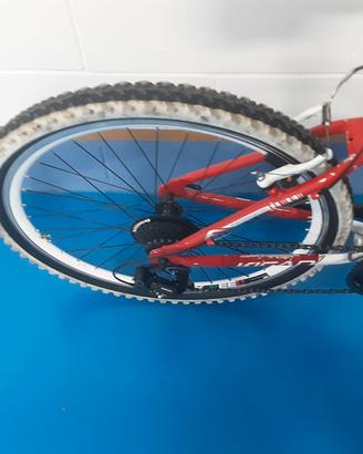 Bicicletta mountain bike Frera bambino