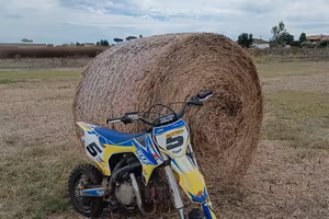 pit bike apollo rxf 125 4t 4 marce