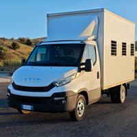 IVECO DAILY 35C13 2.3 ALLESTIMENTO TRASPORTO ANIMA