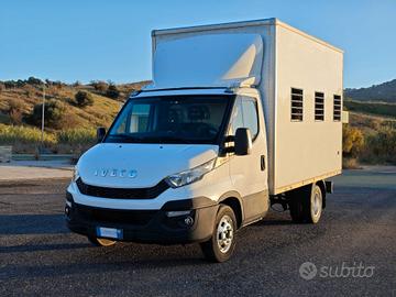 IVECO DAILY 35C13 2.3 ALLESTIMENTO TRASPORTO ANIMA