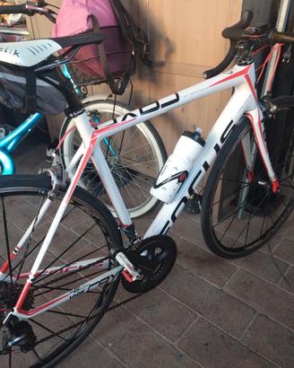 bici da corsa Focus 