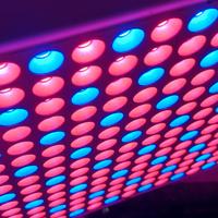 pannello LED  per  coltivazioni indoor