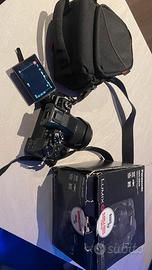 Lumix G80 (e lente G-VARIO 12-60 mm )