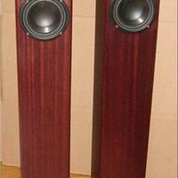 totem acoustic arro