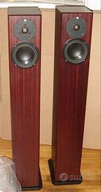 totem acoustic arro