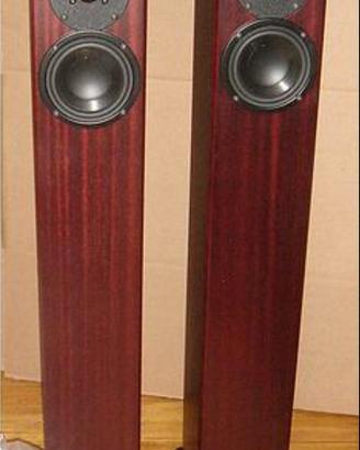 totem acoustic arro