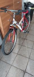bicicletta mountain bike
