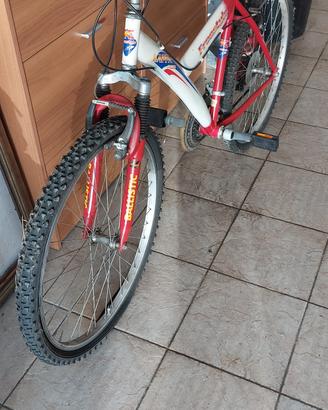 bicicletta mountain bike