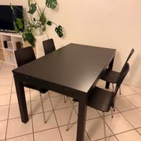 Tavola IKEA nera "Bjursta"