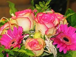 Negozio di Fiori 200-49A