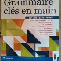 libro francese grammaire cles en main