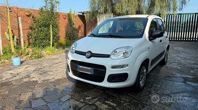 Fiat Panda Lounge 1.2 benzina