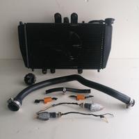 Radiatore triumph speed triple 955i 