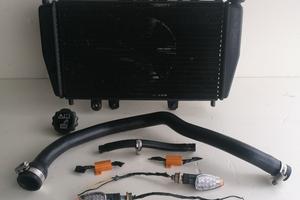 Radiatore triumph speed triple 955i 