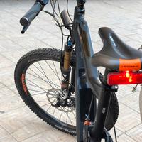 Bicicletta elettrica