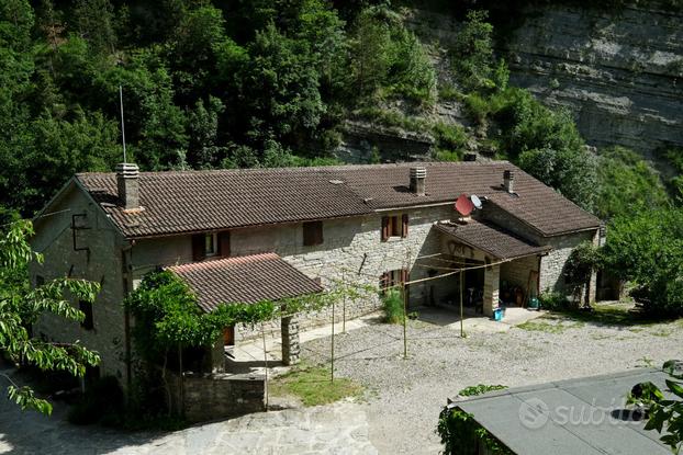 Podere sulle rive del fiume Bidente