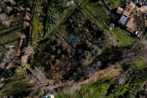 Terreno di natura agricola