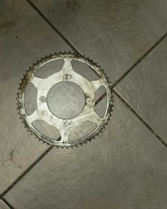 corona posteriore beta 62 denti