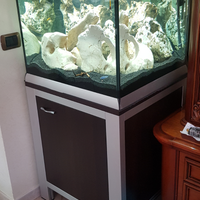 Acquario ferplast star cube 220 litri