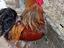 Immagine 1