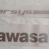 Adesivi Kawasaki Versys
