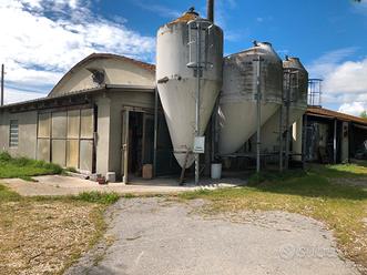 Capannone/ stalla per allevamento