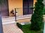 Immagine 6